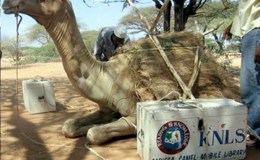 Mobile Libraries: Bringing books to hard-to-reach&nbsp;places.