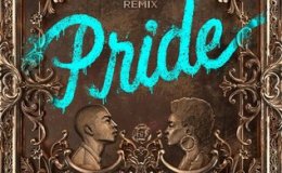 Book Review: Pride